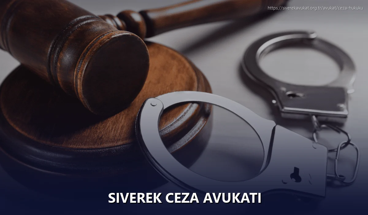 Siverek Ceza Avukatı